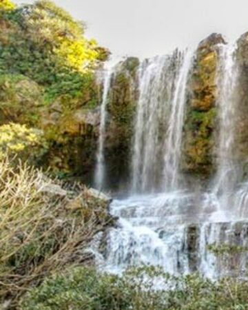 Nature Tunisia